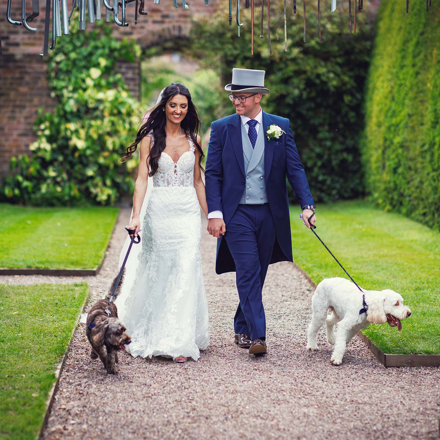 Bride and groom walking down a path holding their two dogs on leads
